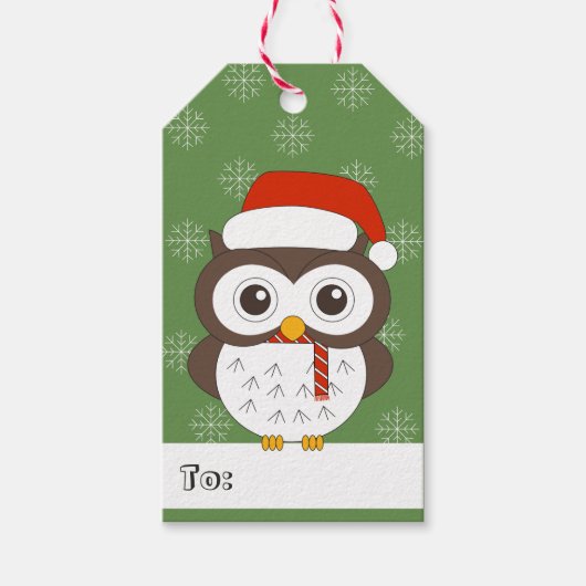 illusima Owl Weihnachtsmannmütze Weihnachten Schne Geschenkanhänger (Vorderseite)