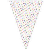 illusima Regenbogen Sterne Party Wimpelkette (Zweite Fahne)