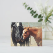 Illusion u. Eile Postkarte (Stehend Vorderseite)