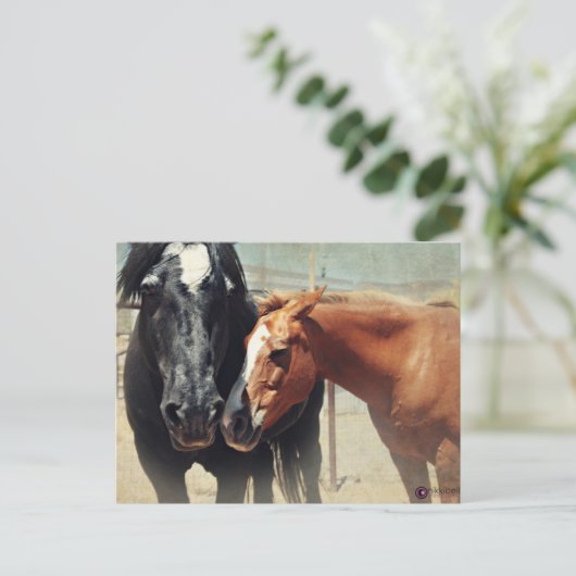 Illusion u. Eile Postkarte (Stehend Vorderseite)