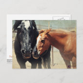 Illusion u. Eile Postkarte (Vorne/Hinten)