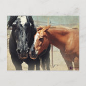 Illusion u. Eile Postkarte (Vorderseite)