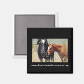 Illusion und Rush Magnet (Vorderseite/Rückseite)