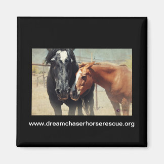 Illusion und Rush Magnet