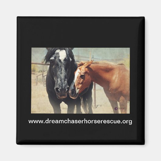 Illusion und Rush Magnet (Vorne)