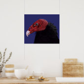 Illustrated Turkey Vulture Poster (Küche)