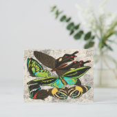 Illustration-1: Französische Vintage Schmetterling Postkarte (Stehend Vorderseite)