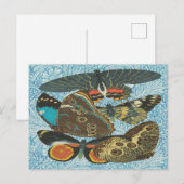 Illustration-2: Vintage französische Schmetterling Postkarte (Vorne/Hinten)