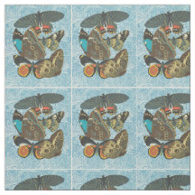 Illustration-2: Vintage französische Schmetterling