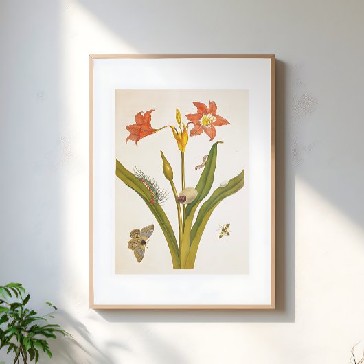 Illustration alter Blumen Botanik Poster