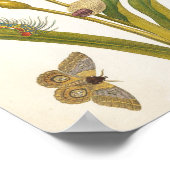 Illustration alter Blumen Botanik Poster (Ecke)