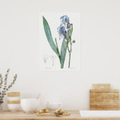 Illustration alter Blumen Poster (Küche)