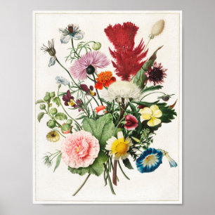 Illustration alter Blumen Poster