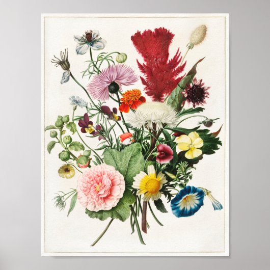 Illustration alter Blumen Poster (Vorne)