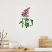 Illustration alter Blumen Poster (Küche)