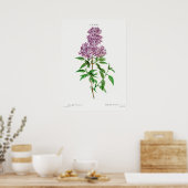 Illustration alter Blumen Poster (Küche)