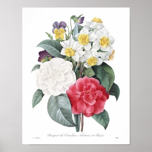 Illustration alter Blumen Poster (Vorne)