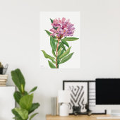 Illustration alter Blumen Poster (Heimbüro)
