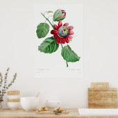 Illustration alter Blumen Poster (Küche)