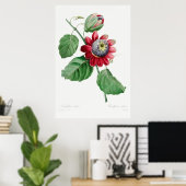 Illustration alter Blumen Poster (Heimbüro)