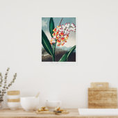 Illustration alter Blumen Poster (Küche)