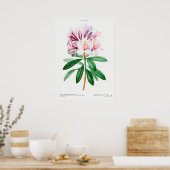 Illustration alter Blumen Poster (Küche)