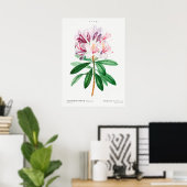 Illustration alter Blumen Poster (Heimbüro)