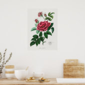 Illustration alter Blumen Poster (Küche)