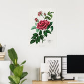 Illustration alter Blumen Poster (Heimbüro)
