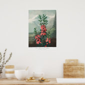 Illustration alter Blumen Poster (Küche)