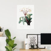 Illustration alter Blumen Poster (Heimbüro)