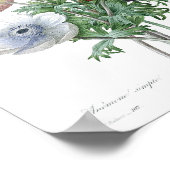 Illustration alter Blumen Poster (Ecke)