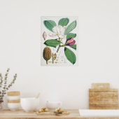 Illustration alter Blumen Poster (Küche)