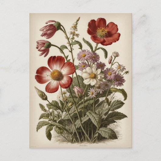 Illustration alter Blumen Postkarte (Vorderseite)