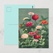 Illustration alter Blumen Postkarte (Vorne/Hinten)