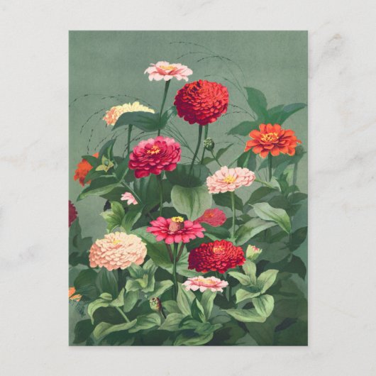 Illustration alter Blumen Postkarte (Vorderseite)