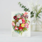 Illustration alter Blumen Postkarte (Stehend Vorderseite)