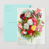 Illustration alter Blumen Postkarte (Vorne/Hinten)