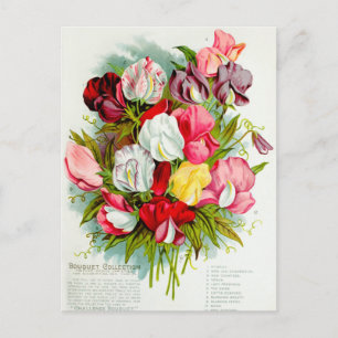 Illustration alter Blumen Postkarte