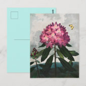 Illustration alter Blumen Postkarte (Vorne/Hinten)