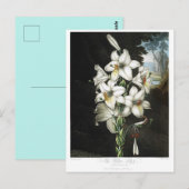 Illustration alter Blumen Postkarte (Vorne/Hinten)