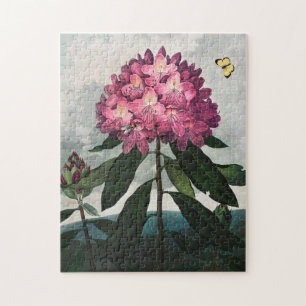 Illustration alter Blumen Puzzle