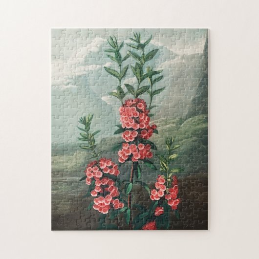 Illustration alter Blumen Puzzle (Vertikal)