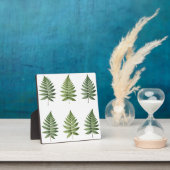 Illustration alter botanischer Farnblätter Fotoplatte (InSitu)