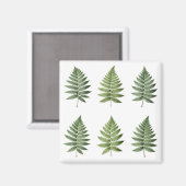 Illustration alter botanischer Farnblätter Magnet (Vorderseite/Rückseite)