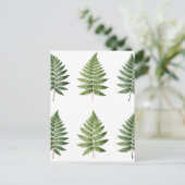 Illustration alter botanischer Farnblätter Postkarte (Stehend Vorderseite)