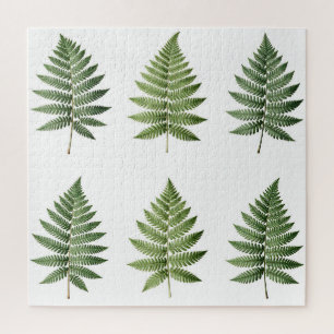 Illustration alter botanischer Farnblätter Puzzle