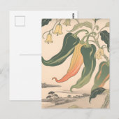 Illustration alter Chili-Pfeffer Postkarte (Vorne/Hinten)