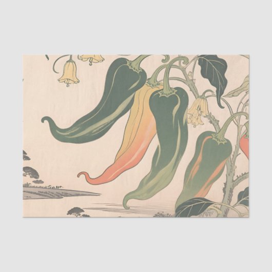 Illustration alter Chili-Pfeffer Seidenpapier (Vorderseite)