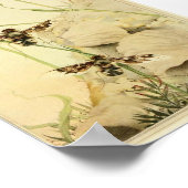 Illustration alter Insekten Poster (Ecke)